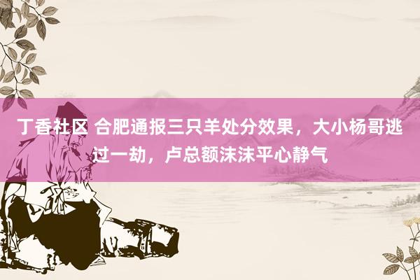 丁香社区 合肥通报三只羊处分效果，大小杨哥逃过一劫，卢总额沫沫平心静气