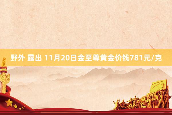 野外 露出 11月20日金至尊黄金价钱781元/克