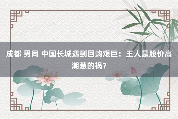 成都 男同 中国长城遇到回购艰巨：王人是股价高潮惹的祸？