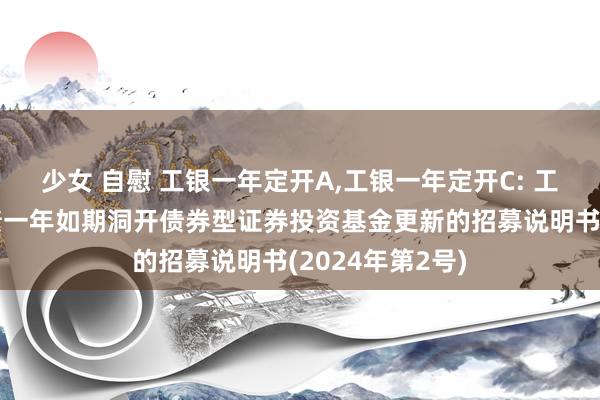 少女 自慰 工银一年定开A,工银一年定开C: 工银瑞信信用纯债一年如期洞开债券型证券投资基金更新的招募说明书(2024年第2号)