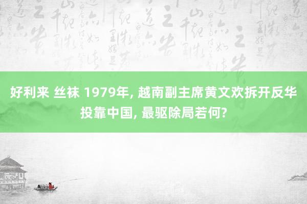 好利来 丝袜 1979年， 越南副主席黄文欢拆开反华投靠中国， 最驱除局若何?