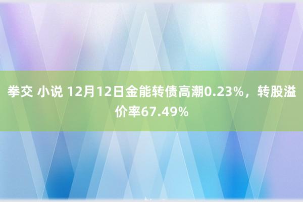 拳交 小说 12月12日金能转债高潮0.23%，转股溢价率67.49%