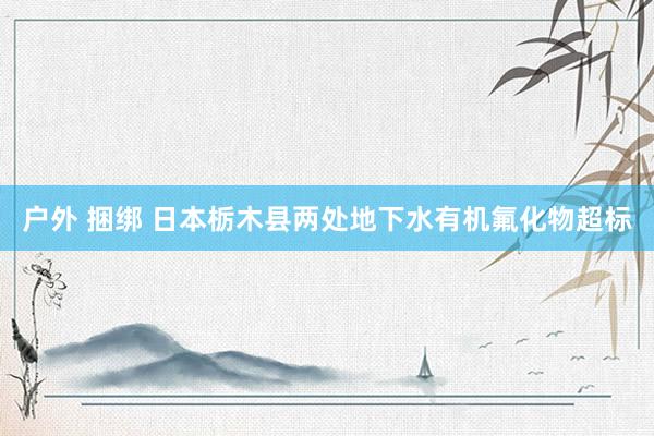 户外 捆绑 日本栃木县两处地下水有机氟化物超标