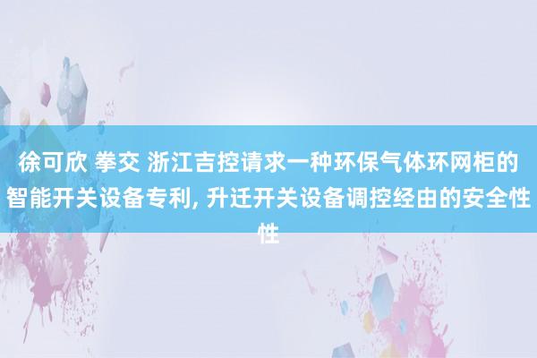徐可欣 拳交 浙江吉控请求一种环保气体环网柜的智能开关设备专利， 升迁开关设备调控经由的安全性