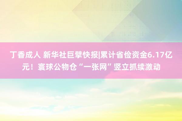 丁香成人 新华社巨擘快报|累计省俭资金6.17亿元！寰球公物仓“一张网”竖立抓续激动