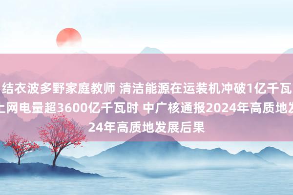 结衣波多野家庭教师 清洁能源在运装机冲破1亿千瓦，全年上网电量超3600亿千瓦时 中广核通报2024年高质地发展后果