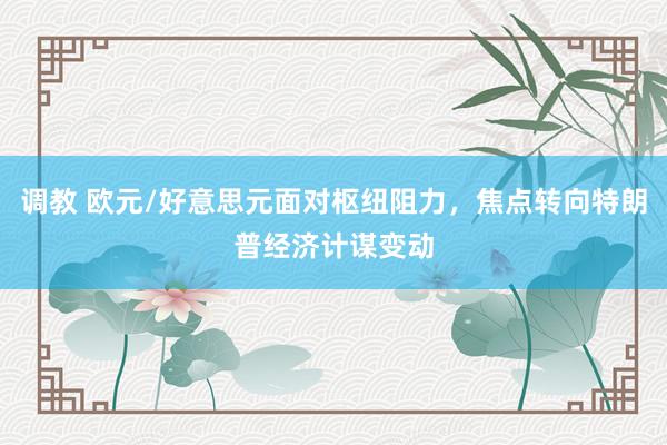 调教 欧元/好意思元面对枢纽阻力，焦点转向特朗普经济计谋变动