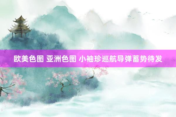 欧美色图 亚洲色图 小袖珍巡航导弹蓄势待发