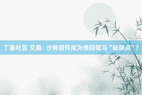 丁香社区 文晶: 沙特因何成为挽回俄乌“新缺点”?