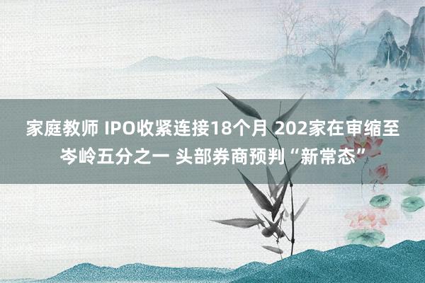 家庭教师 IPO收紧连接18个月 202家在审缩至岑岭五分之一 头部券商预判“新常态”