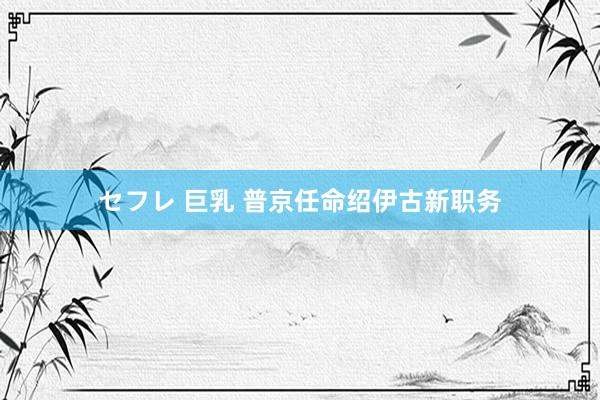 セフレ 巨乳 普京任命绍伊古新职务