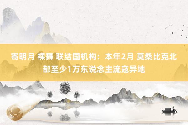 寄明月 裸舞 联结国机构：本年2月 莫桑比克北部至少1万东说念主流寇异地