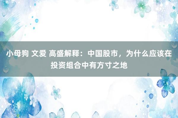 小母狗 文爱 高盛解释：中国股市，为什么应该在投资组合中有方寸之地