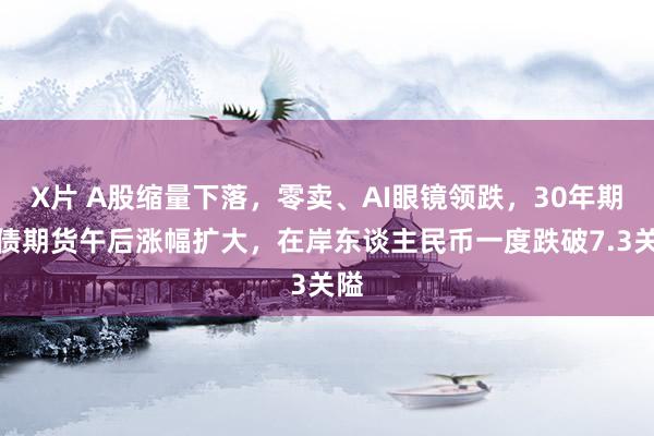 X片 A股缩量下落，零卖、AI眼镜领跌，30年期国债期货午后涨幅扩大，在岸东谈主民币一度跌破7.3关隘