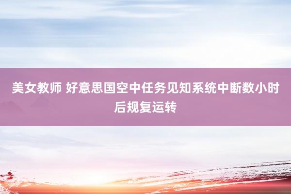 美女教师 好意思国空中任务见知系统中断数小时后规复运转