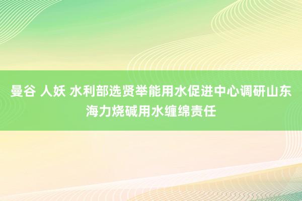 曼谷 人妖 水利部选贤举能用水促进中心调研山东海力烧碱用水缠绵责任