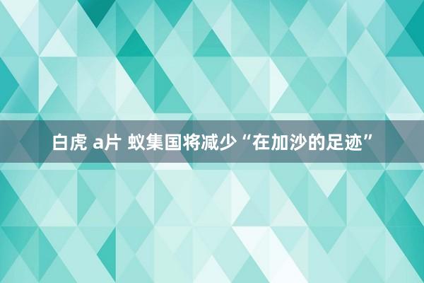 白虎 a片 蚁集国将减少“在加沙的足迹”
