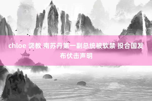 chloe 调教 南苏丹第一副总统被软禁 投合国发布伏击声明