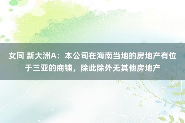 女同 新大洲A：本公司在海南当地的房地产有位于三亚的商铺，除此除外无其他房地产