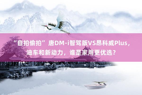 “自拍偷拍” 唐DM-i智驾版VS昂科威Plus，油车和新动力，谁是家用更优选？