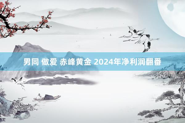 男同 做爱 赤峰黄金 2024年净利润翻番