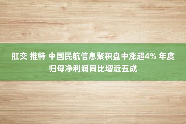 肛交 推特 中国民航信息聚积盘中涨超4% 年度归母净利润同比增近五成