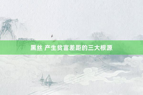 黑丝 产生贫富差距的三大根源
