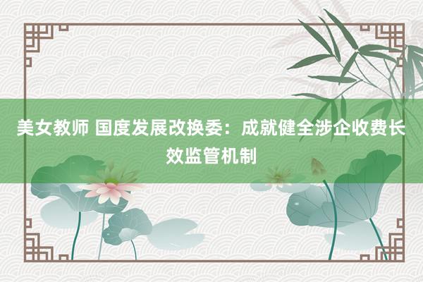美女教师 国度发展改换委：成就健全涉企收费长效监管机制