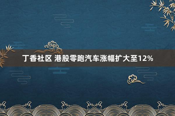 丁香社区 港股零跑汽车涨幅扩大至12%