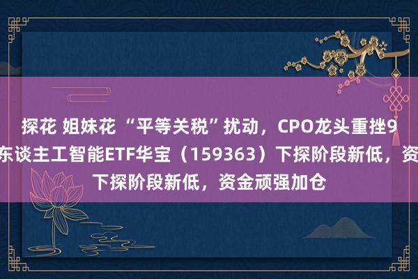 探花 姐妹花 “平等关税”扰动，CPO龙头重挫9%，创业板东谈主工智能ETF华宝（159363）下探阶段新低，资金顽强加仓