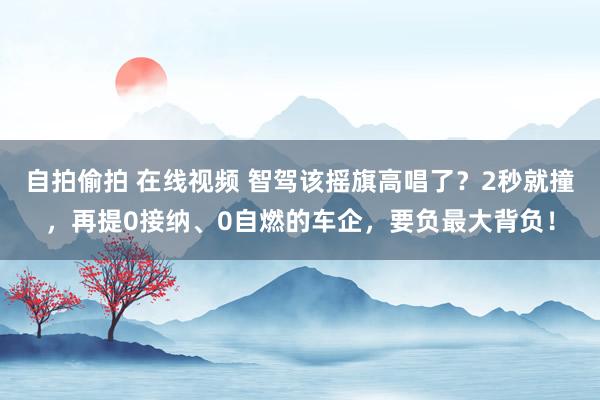 自拍偷拍 在线视频 智驾该摇旗高唱了？2秒就撞，再提0接纳、0自燃的车企，要负最大背负！