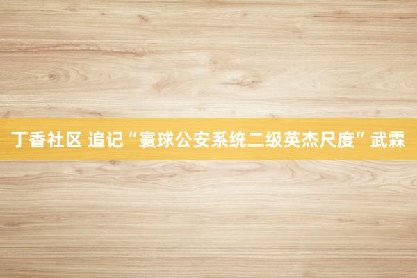 丁香社区 追记“寰球公安系统二级英杰尺度”武霖
