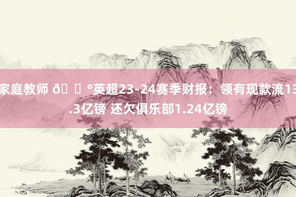 家庭教师 💰英超23-24赛季财报：领有现款流13.3亿镑 还欠俱乐部1.24亿镑