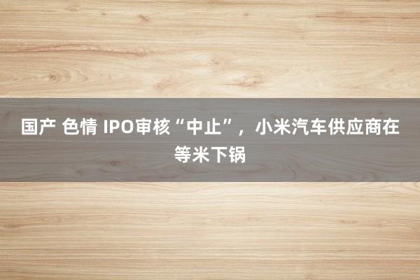 国产 色情 IPO审核“中止”，小米汽车供应商在等米下锅