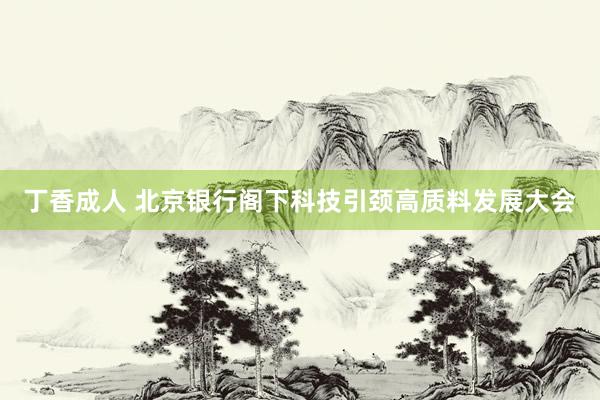 丁香成人 北京银行阁下科技引颈高质料发展大会