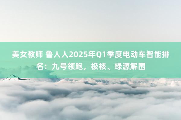 美女教师 鲁人人2025年Q1季度电动车智能排名：九号领跑，极核、绿源解围