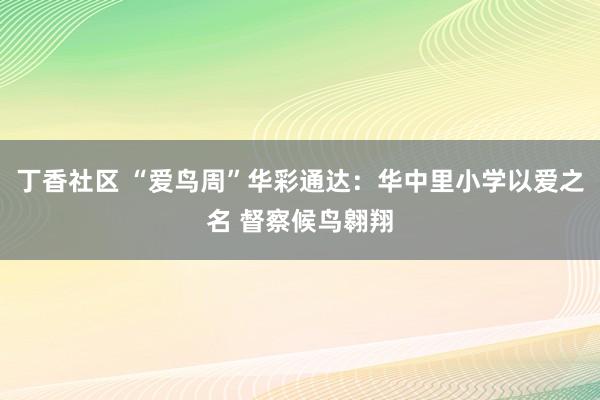丁香社区 “爱鸟周”华彩通达：华中里小学以爱之名 督察候鸟翱翔