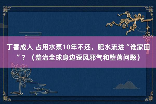 丁香成人 占用水泵10年不还，肥水流进“谁家田”？（整治全球身边歪风邪气和堕落问题）