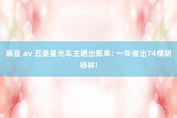 麻豆 av 五菱星光车主晒出账单: 一年省出74棵胡杨林!
