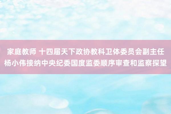 家庭教师 十四届天下政协教科卫体委员会副主任杨小伟接纳中央纪委国度监委顺序审查和监察探望