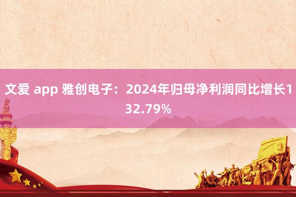 文爱 app 雅创电子：2024年归母净利润同比增长132.79%
