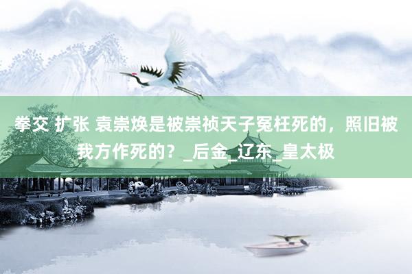 拳交 扩张 袁崇焕是被崇祯天子冤枉死的，照旧被我方作死的？_后金_辽东_皇太极