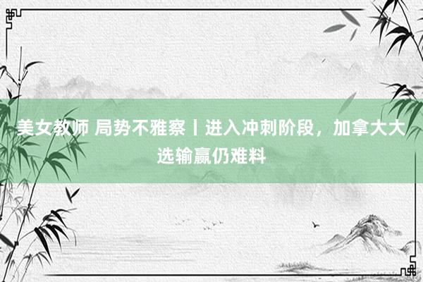 美女教师 局势不雅察丨进入冲刺阶段，加拿大大选输赢仍难料