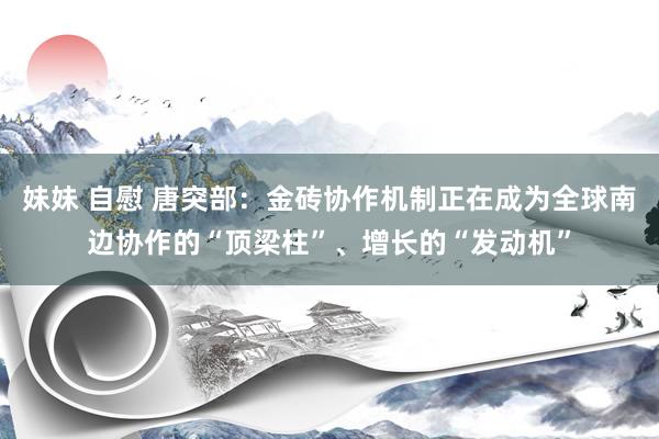 妹妹 自慰 唐突部：金砖协作机制正在成为全球南边协作的“顶梁柱”、增长的“发动机”