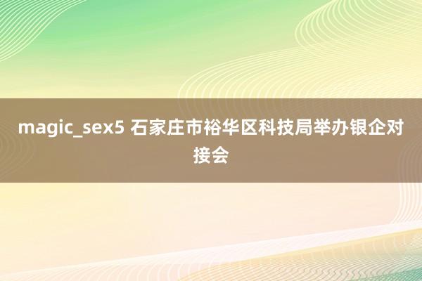 magic_sex5 石家庄市裕华区科技局举办银企对接会